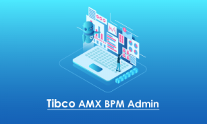 Capacitación de Tibco AMX BPM Admin