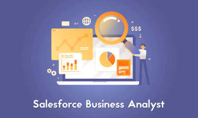 Salesforce Business Analyst