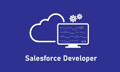 Salesforce Developer